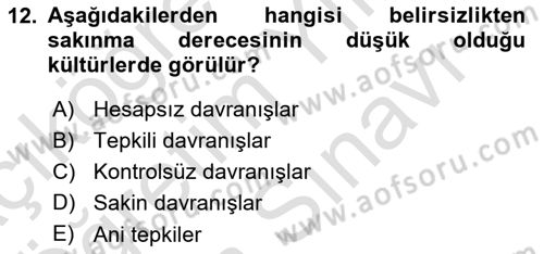 Kültürlerarası İletişim Dersi 2023 - 2024 Yılı (Vize) Ara Sınav Soruları 12. Soru