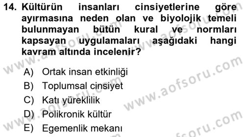 Kültürlerarası İletişim Dersi 2023 - 2024 Yılı (Vize) Ara Sınav Soruları 14. Soru