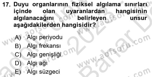 Kültürlerarası İletişim Dersi 2023 - 2024 Yılı (Vize) Ara Sınav Soruları 17. Soru