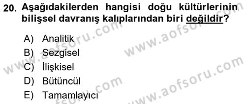 Kültürlerarası İletişim Dersi 2023 - 2024 Yılı (Vize) Ara Sınav Soruları 20. Soru