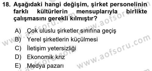 Kültürlerarası İletişim Dersi 2023 - 2024 Yılı (Final) Dönem Sonu Sınav Soruları 18. Soru