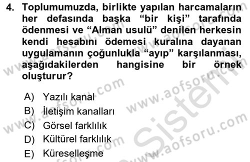 Kültürlerarası İletişim Dersi 2023 - 2024 Yılı (Final) Dönem Sonu Sınav Soruları 4. Soru