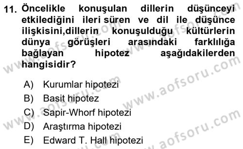 Kültürlerarası İletişim Dersi 2023 - 2024 Yılı Yaz Okulu Sınav Soruları 11. Soru