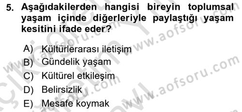 Kültürlerarası İletişim Dersi 2023 - 2024 Yılı Yaz Okulu Sınav Soruları 5. Soru