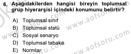 Kültürlerarası İletişim Dersi 2023 - 2024 Yılı Yaz Okulu Sınav Soruları 6. Soru