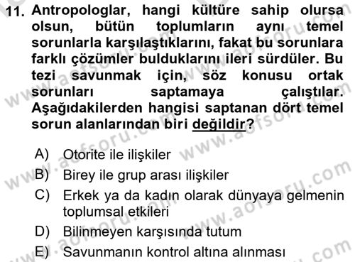 Kültürlerarası İletişim Dersi 2024 - 2025 Yılı (Vize) Ara Sınav Soruları 11. Soru