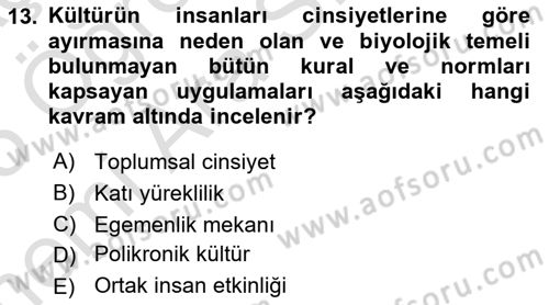 Kültürlerarası İletişim Dersi 2024 - 2025 Yılı (Vize) Ara Sınav Soruları 13. Soru