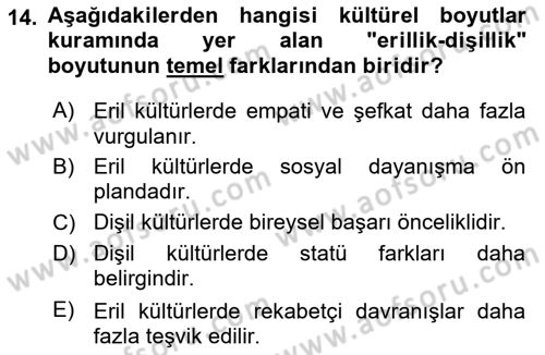 Kültürlerarası İletişim Dersi 2024 - 2025 Yılı (Vize) Ara Sınav Soruları 14. Soru