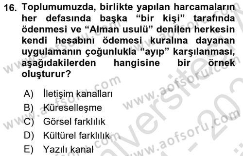 Kültürlerarası İletişim Dersi 2024 - 2025 Yılı (Vize) Ara Sınav Soruları 16. Soru