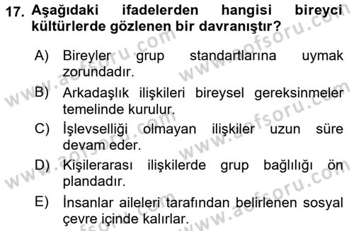 Kültürlerarası İletişim Dersi 2024 - 2025 Yılı (Vize) Ara Sınav Soruları 17. Soru
