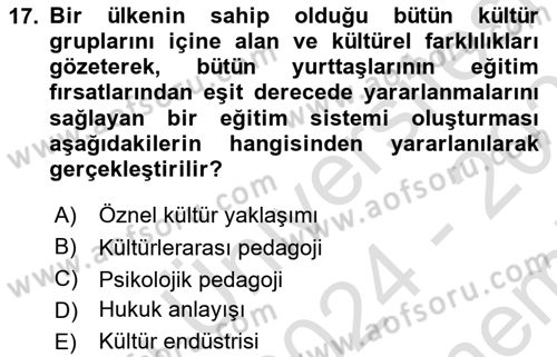 Kültürlerarası İletişim Dersi 2024 - 2025 Yılı (Final) Dönem Sonu Sınav Soruları 17. Soru