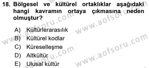 Kültürlerarası İletişim Dersi 2024 - 2025 Yılı (Final) Dönem Sonu Sınav Soruları 18. Soru