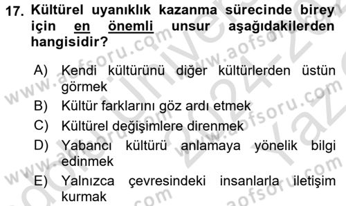 Kültürlerarası İletişim Dersi 2024 - 2025 Yılı Yaz Okulu Sınav Soruları 17. Soru