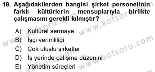 Kültürlerarası İletişim Dersi 2024 - 2025 Yılı Yaz Okulu Sınav Soruları 18. Soru