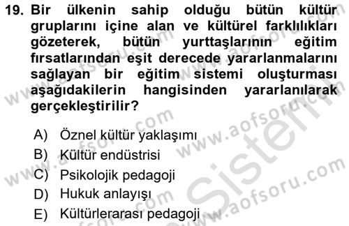 Kültürlerarası İletişim Dersi 2024 - 2025 Yılı Yaz Okulu Sınav Soruları 19. Soru