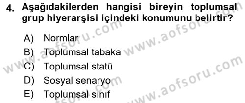 Kültürlerarası İletişim Dersi 2024 - 2025 Yılı Yaz Okulu Sınav Soruları 4. Soru
