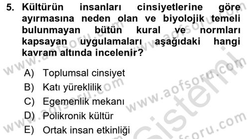 Kültürlerarası İletişim Dersi 2024 - 2025 Yılı Yaz Okulu Sınav Soruları 5. Soru