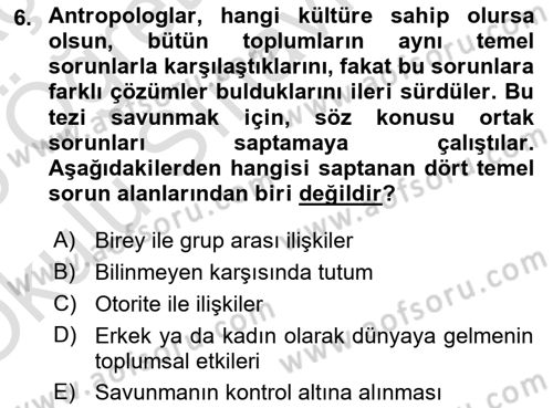 Kültürlerarası İletişim Dersi 2024 - 2025 Yılı Yaz Okulu Sınav Soruları 6. Soru