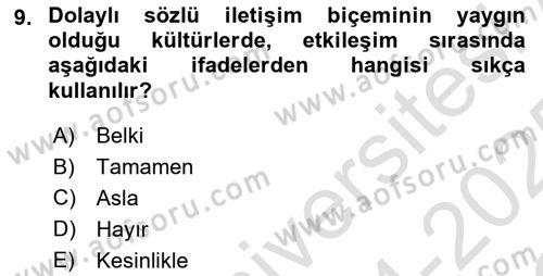 Kültürlerarası İletişim Dersi 2024 - 2025 Yılı Yaz Okulu Sınav Soruları 9. Soru