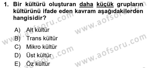 Kültürlerarası İletişim Dersi 2025 - 2026 Yılı (Vize) Ara Sınav Soruları 1. Soru