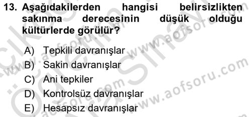 Kültürlerarası İletişim Dersi 2025 - 2026 Yılı (Vize) Ara Sınav Soruları 13. Soru