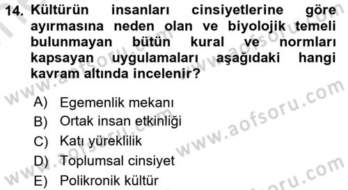 Kültürlerarası İletişim Dersi 2025 - 2026 Yılı (Vize) Ara Sınav Soruları 14. Soru