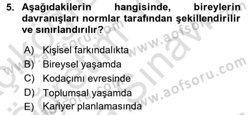 Kültürlerarası İletişim Dersi 2025 - 2026 Yılı (Vize) Ara Sınav Soruları 5. Soru