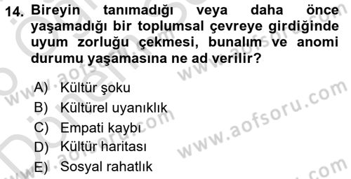 Kültürlerarası İletişim Dersi 2025 - 2026 Yılı (Final) Dönem Sonu Sınav Soruları 14. Soru