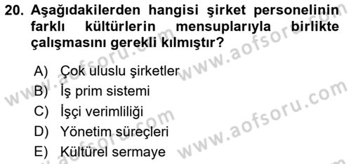 Kültürlerarası İletişim Dersi 2025 - 2026 Yılı (Final) Dönem Sonu Sınav Soruları 20. Soru