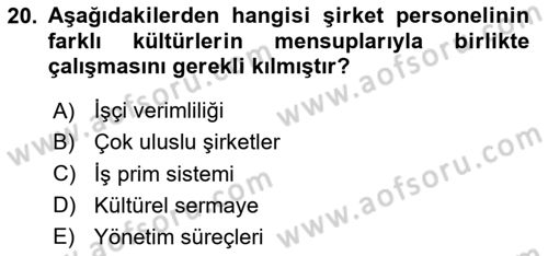 Kültürlerarası İletişim Dersi 2025 - 2026 Yılı Yaz Okulu Sınav Soruları 20. Soru