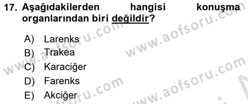 Sağlık Kurumlarında İletişim Dersi 2022 - 2023 Yılı Yaz Okulu Sınav Soruları 17. Soru