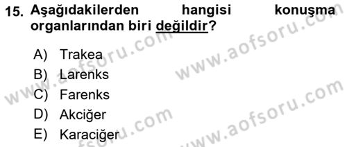 Sağlık Kurumlarında İletişim Dersi 2023 - 2024 Yılı (Final) Dönem Sonu Sınav Soruları 15. Soru