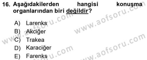 Sağlık Kurumlarında İletişim Dersi 2023 - 2024 Yılı Yaz Okulu Sınav Soruları 16. Soru