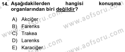 Sağlık Kurumlarında İletişim Dersi 2024 - 2025 Yılı (Final) Dönem Sonu Sınav Soruları 14. Soru