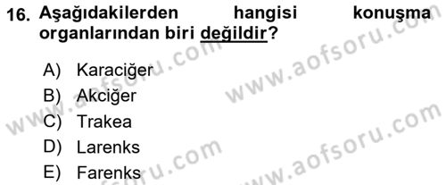 Sağlık Kurumlarında İletişim Dersi 2025 - 2026 Yılı Yaz Okulu Sınav Soruları 16. Soru