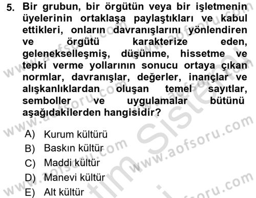 Kurum Kültürü Dersi 2016 - 2017 Yılı (Vize) Ara Sınav Soruları 5. Soru