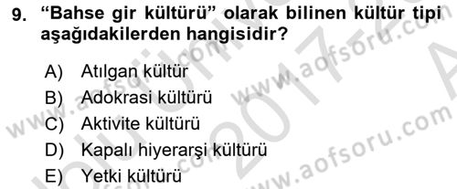 Kurum Kültürü Dersi 2017 - 2018 Yılı (Vize) Ara Sınav Soruları 9. Soru