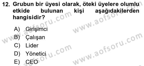 Kurum Kültürü Dersi 2017 - 2018 Yılı (Final) Dönem Sonu Sınav Soruları 12. Soru
