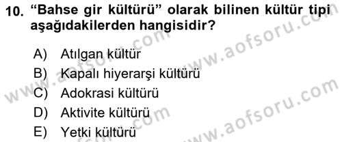 Kurum Kültürü Dersi 2018 - 2019 Yılı (Vize) Ara Sınav Soruları 10. Soru
