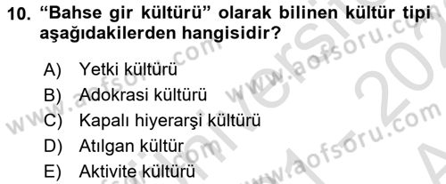 Kurum Kültürü Dersi 2021 - 2022 Yılı (Vize) Ara Sınav Soruları 10. Soru