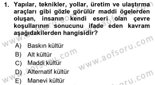 Kurum Kültürü Dersi 2021 - 2022 Yılı (Final) Dönem Sonu Sınav Soruları 1. Soru