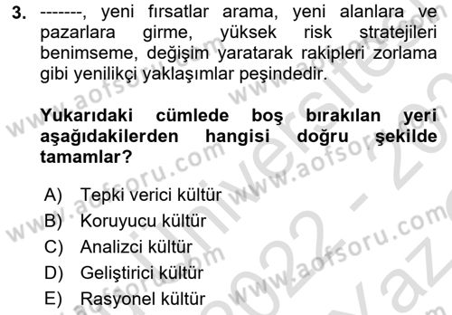 Kurum Kültürü Dersi 2022 - 2023 Yılı Yaz Okulu Sınav Soruları 3. Soru