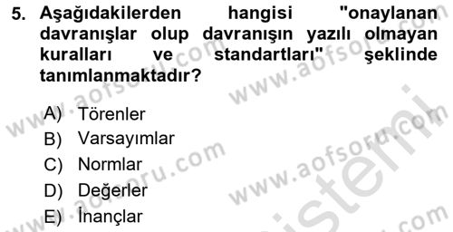 Kurum Kültürü Dersi 2024 - 2025 Yılı (Vize) Ara Sınav Soruları 5. Soru