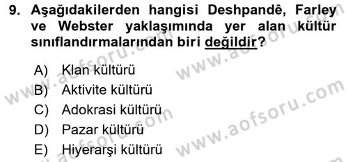 Kurum Kültürü Dersi 2024 - 2025 Yılı (Vize) Ara Sınav Soruları 9. Soru