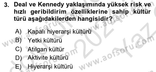 Kurum Kültürü Dersi 2024 - 2025 Yılı Yaz Okulu Sınav Soruları 3. Soru