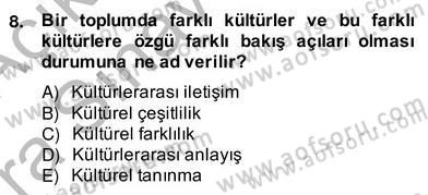 Küreselleşme ve Kültürlerarası İletişim Dersi 2012 - 2013 Yılı (Vize) Ara Sınav Soruları 8. Soru
