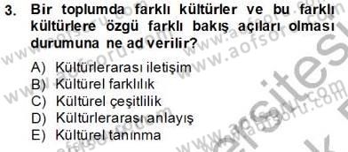 Küreselleşme ve Kültürlerarası İletişim Dersi 2013 - 2014 Yılı Tek Ders Sınav Soruları 3. Soru
