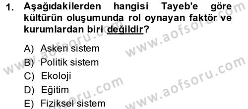 Küreselleşme ve Kültürlerarası İletişim Dersi 2014 - 2015 Yılı Tek Ders Sınav Soruları 1. Soru