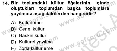 Küreselleşme ve Kültürlerarası İletişim Dersi 2014 - 2015 Yılı Tek Ders Sınav Soruları 14. Soru