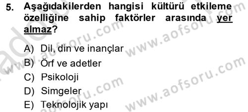 Küreselleşme ve Kültürlerarası İletişim Dersi 2014 - 2015 Yılı Tek Ders Sınav Soruları 5. Soru